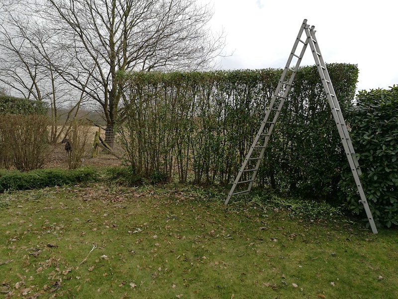 Tuinonderhoud - Dorpsstraat Tielt-Winge